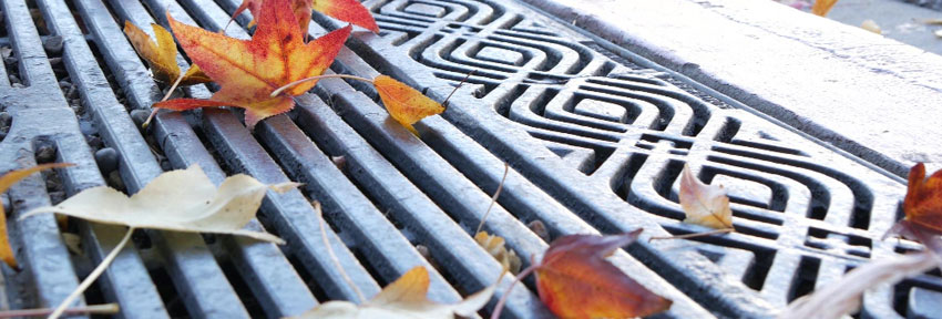 Leaves drain cleaning