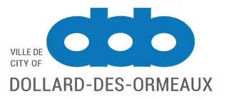 city ddo drain cleaning